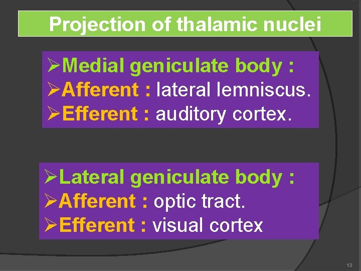 Projection of thalamic nuclei ØMedial geniculate body : ØAfferent : lateral lemniscus. ØEfferent :