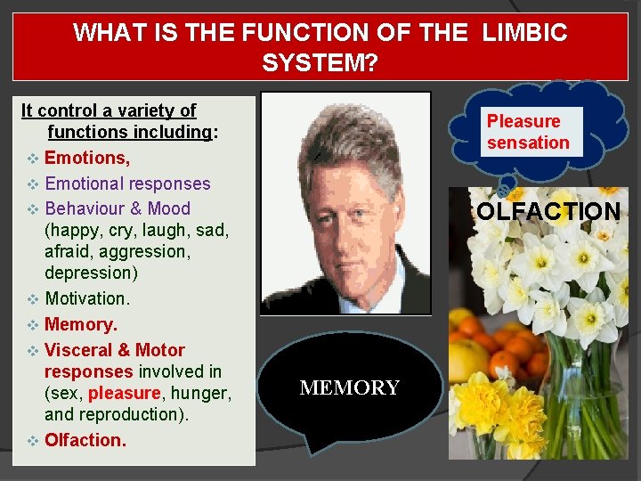 WHAT IS THE FUNCTION OF THE LIMBIC SYSTEM? It control a variety of functions