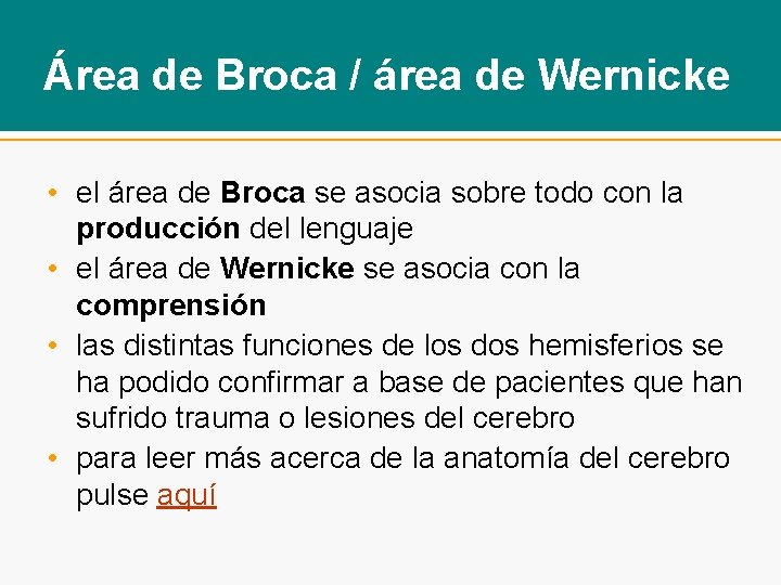 Área de Broca / área de Wernicke • el área de Broca se asocia