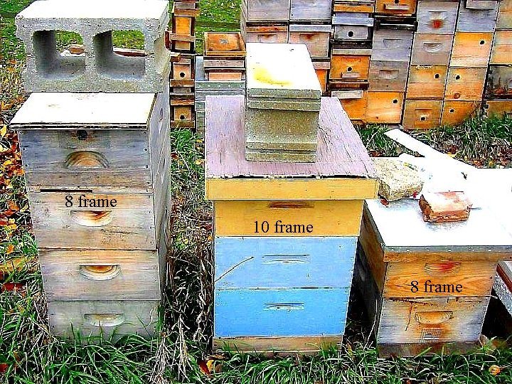 8 frame 10 frame 8 frame 