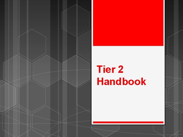 Tier 2 Handbook 