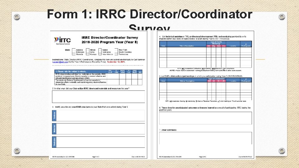 Form 1: IRRC Director/Coordinator Survey 