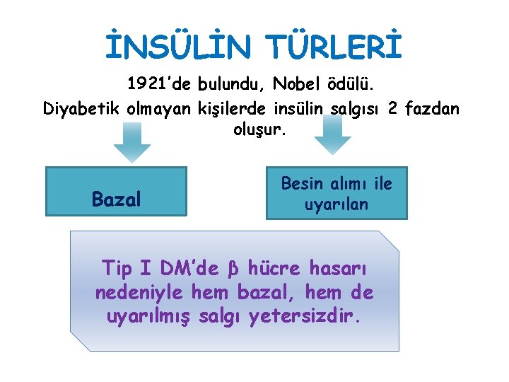 İNSÜLİN TÜRLERİ 1921’de bulundu, Nobel ödülü. Diyabetik olmayan kişilerde insülin salgısı 2 fazdan oluşur.