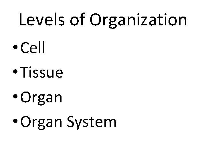 Levels of Organization • Cell • Tissue • Organ System 