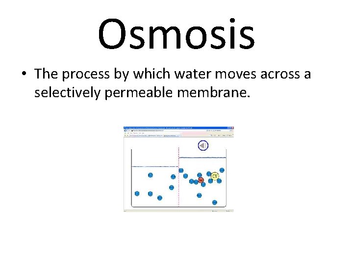 Osmosis • The process by which water moves across a selectively permeable membrane. 