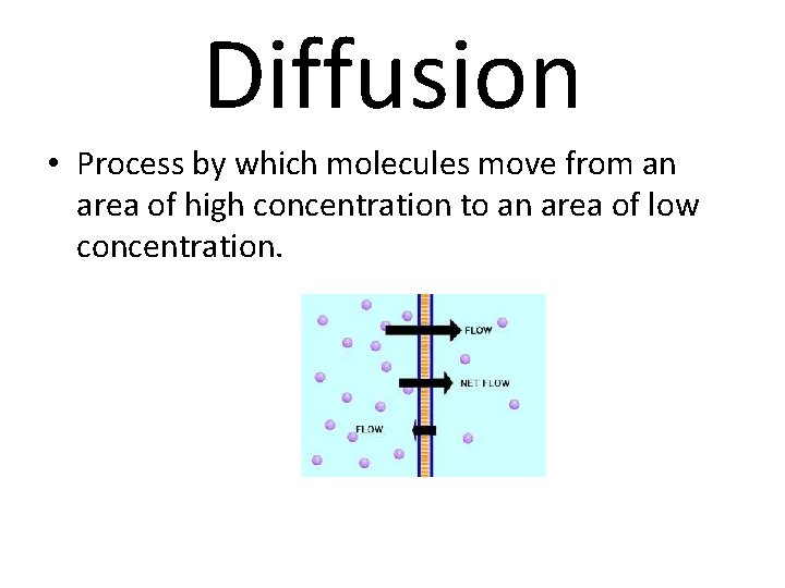 Diffusion • Process by which molecules move from an area of high concentration to