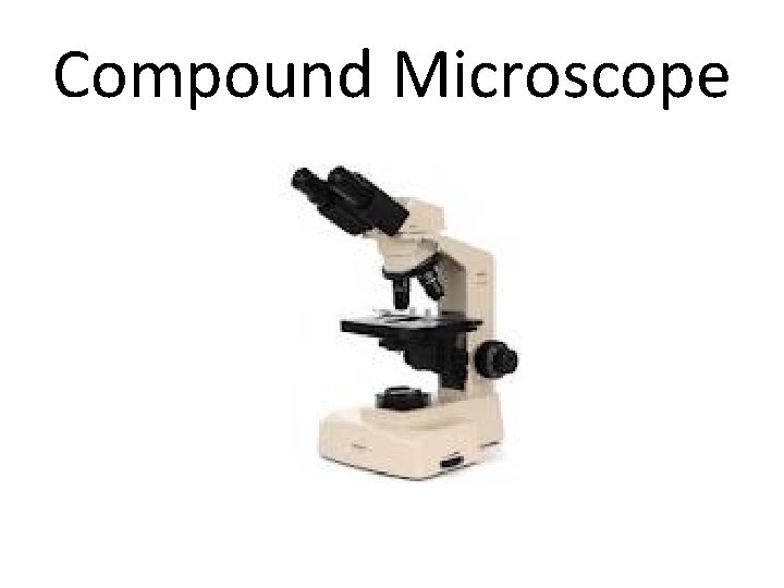 Compound Microscope 