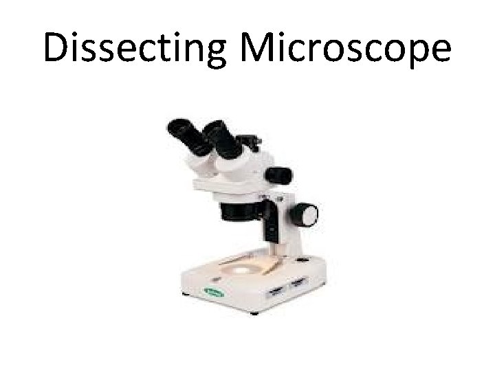 Dissecting Microscope 