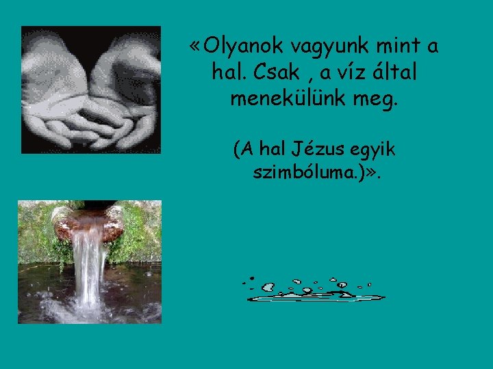  «Olyanok vagyunk mint a hal. Csak , a víz által menekülünk meg. (A