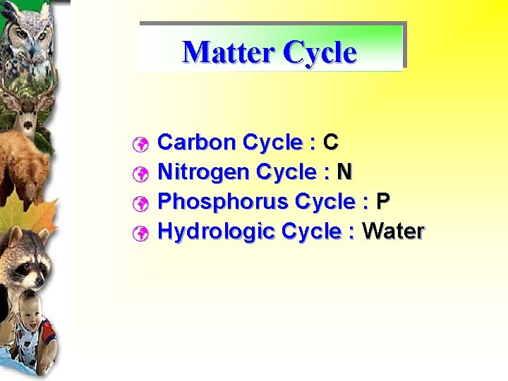 Matter Cycle ü ü Carbon Cycle : C Nitrogen Cycle : N Phosphorus Cycle