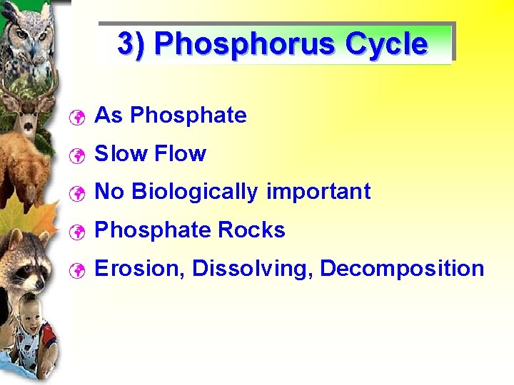 3) Phosphorus Cycle ü As Phosphate ü Slow Flow ü No Biologically important ü