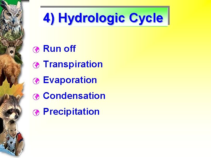 4) Hydrologic Cycle ü Run off ü Transpiration ü Evaporation ü Condensation ü Precipitation