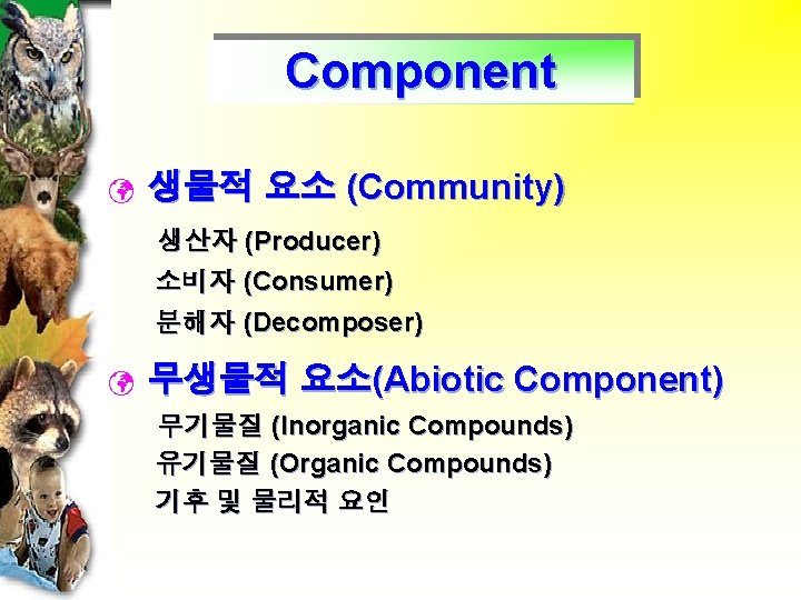 Component ü 생물적 요소 (Community) 생산자 (Producer) 소비자 (Consumer) 분해자 (Decomposer) ü 무생물적 요소(Abiotic