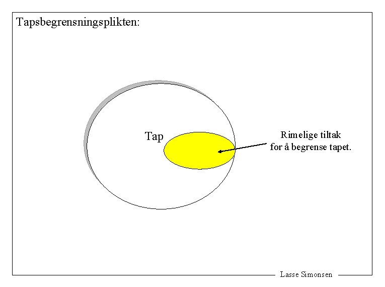 Tapsbegrensningsplikten: Tap Rimelige tiltak for å begrense tapet. Lasse Simonsen 