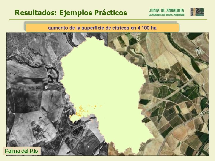 Resultados: Ejemplos Prácticos aumento de la superficie de cítricos en 4. 100 ha Palma