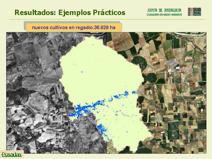 Resultados: Ejemplos Prácticos nuevos cultivos en regadío: 36. 829 ha Posadas 