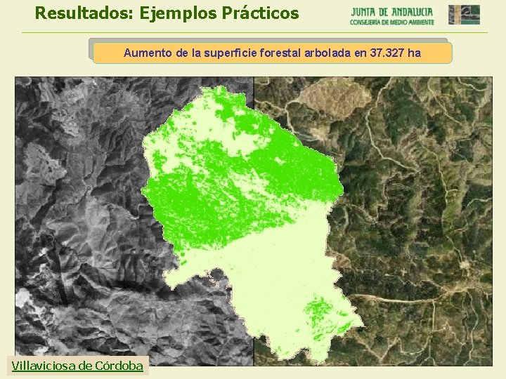 Resultados: Ejemplos Prácticos Aumento de la superficie forestal arbolada en 37. 327 ha Villaviciosa