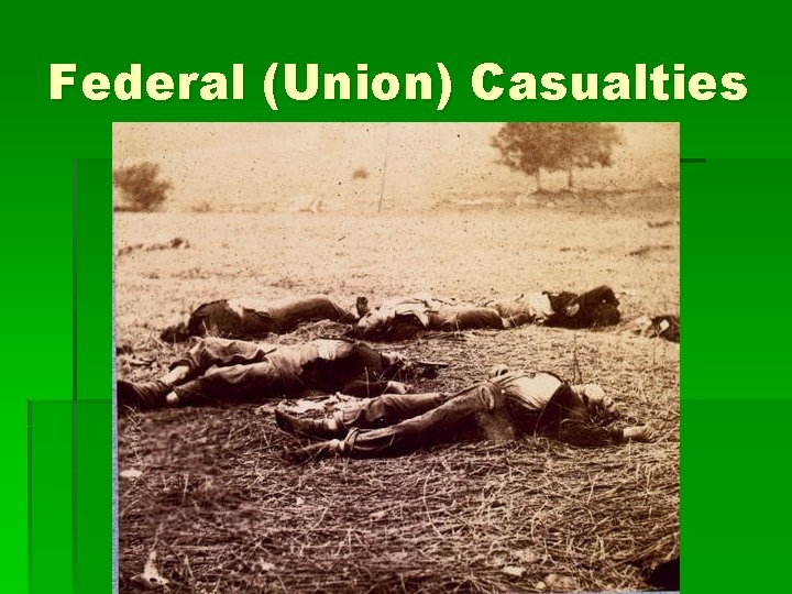 Federal (Union) Casualties 