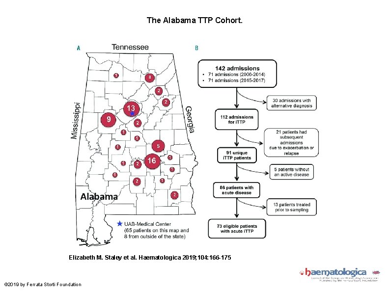 The Alabama TTP Cohort. Elizabeth M. Staley et al. Haematologica 2019; 104: 166 -175