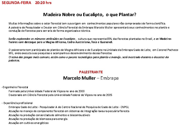 SEGUNDA-FEIRA 20: 20 hrs Madeira Nobre ou Eucalipto, o que Plantar? Muitas informações sobre