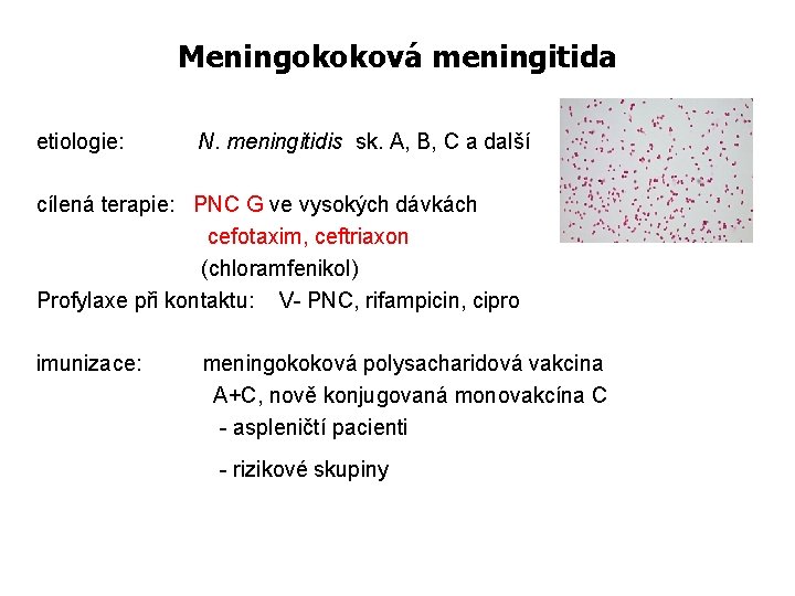 Meningokoková meningitida etiologie: N. meningitidis sk. A, B, C a další cílená terapie: PNC