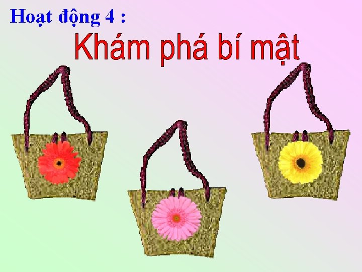 Hoạt động 4 : 