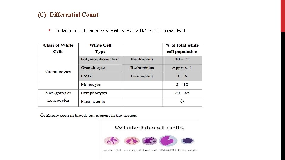 (C) Differential Count • It determines the number of each type of WBC present