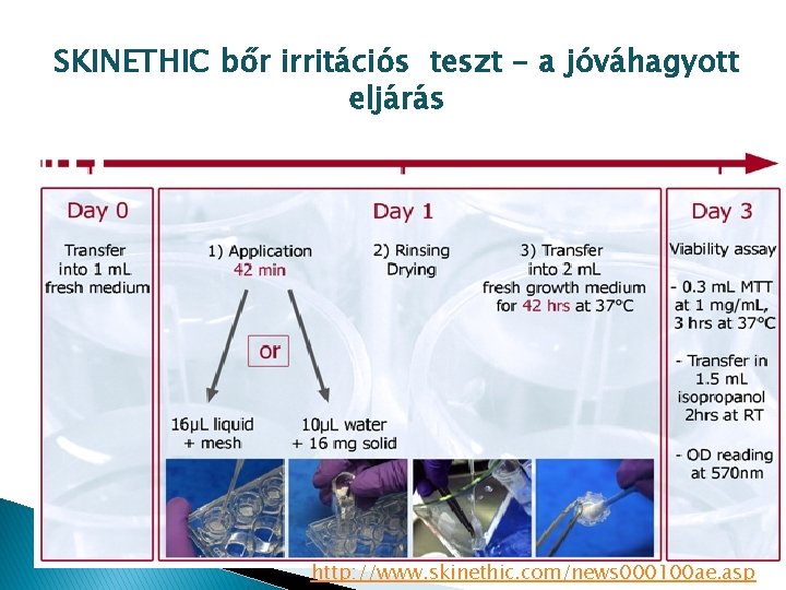 SKINETHIC bőr irritációs teszt - a jóváhagyott eljárás http: //www. skinethic. com/news 000100 ae.