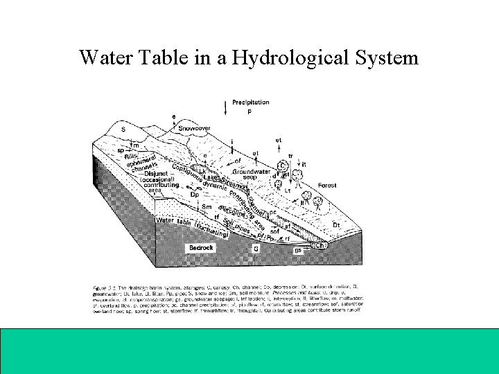 Water Table in a Hydrological System 