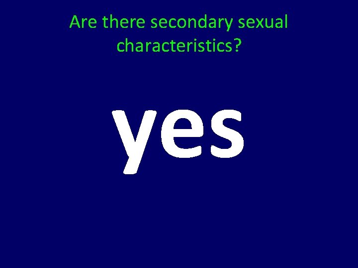 Are there secondary sexual characteristics? yes 