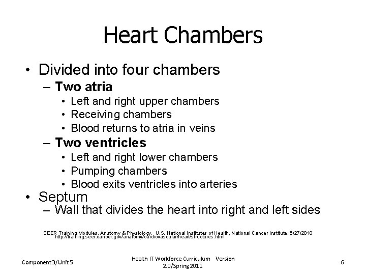Heart Chambers • Divided into four chambers – Two atria • Left and right