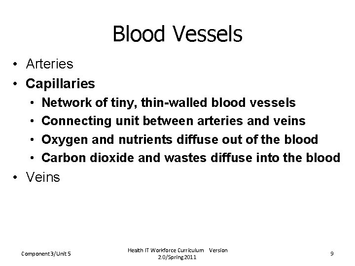 Blood Vessels • Arteries • Capillaries • • Network of tiny, thin-walled blood vessels