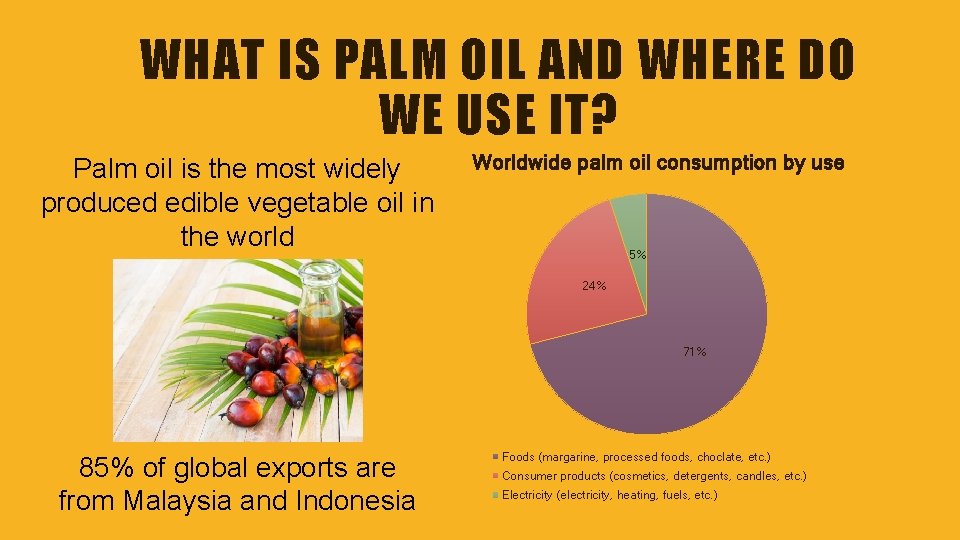 WHAT IS PALM OIL AND WHERE DO WE USE IT? Palm oil is the