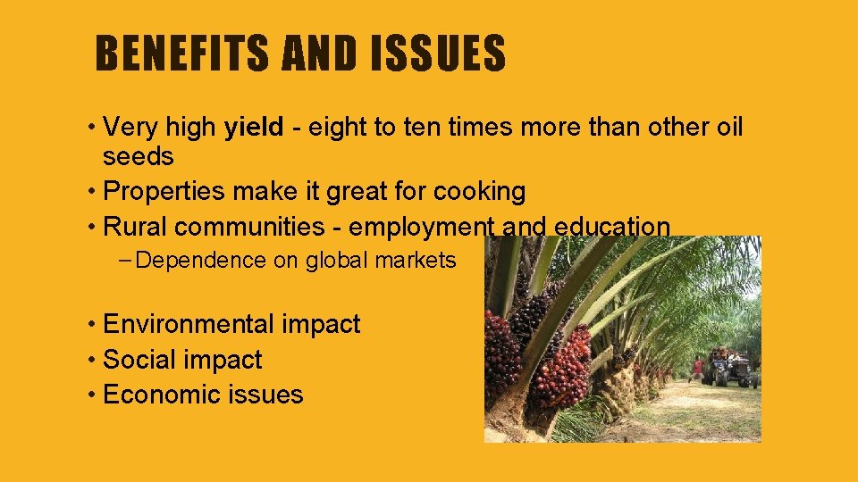 BENEFITS AND ISSUES • Very high yield - eight to ten times more than