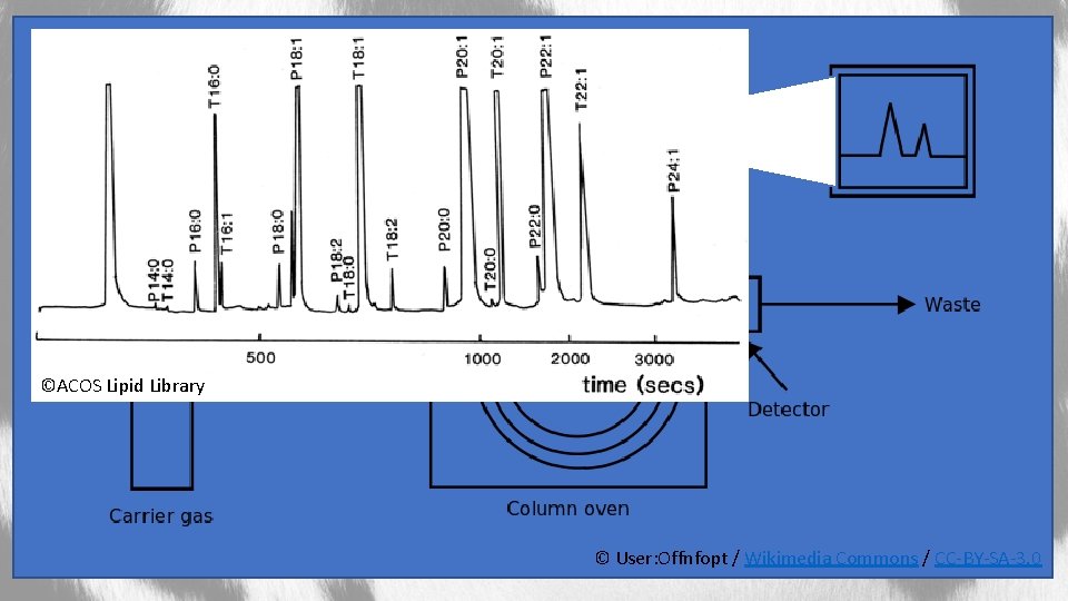 Crude Blood/Milk Sample Extraction of Lipids ©ACOS Lipid Library © User: Offnfopt / Wikimedia