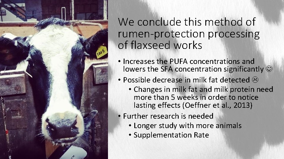 We conclude this method of rumen-protection processing of flaxseed works • Increases the PUFA