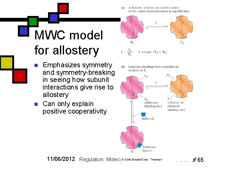 MWC model for allostery n n Emphasizes symmetry and symmetry-breaking in seeing how subunit