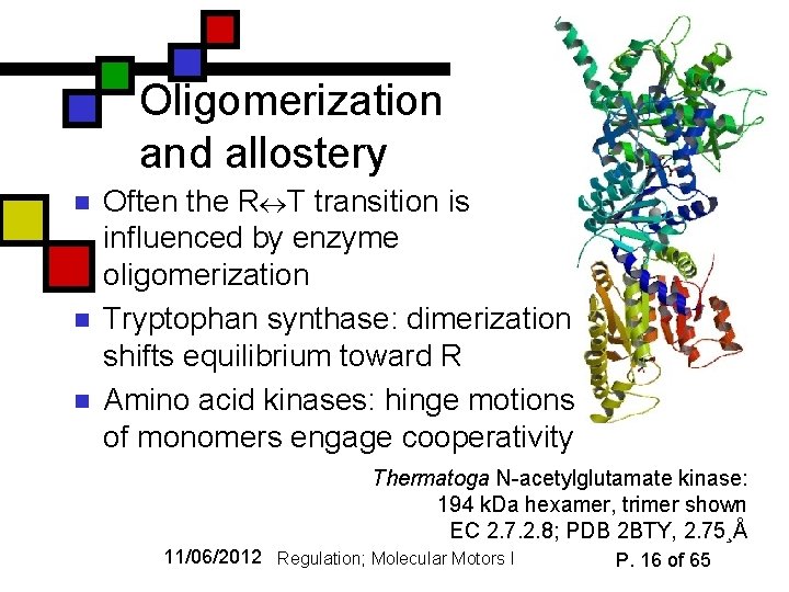 Oligomerization and allostery n n n Often the R T transition is influenced by
