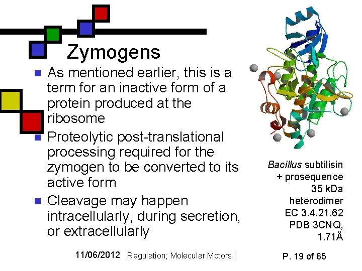 Zymogens n n n As mentioned earlier, this is a term for an inactive