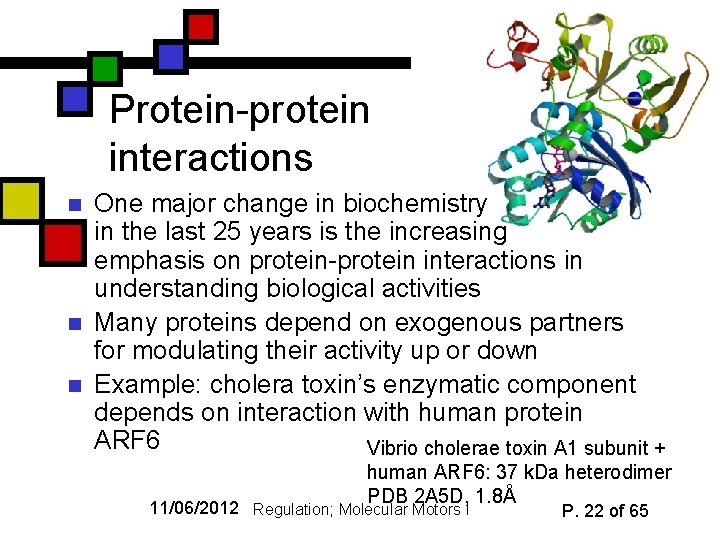 Protein-protein interactions n n n One major change in biochemistry in the last 25
