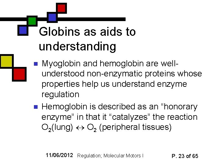 Globins as aids to understanding n n Myoglobin and hemoglobin are wellunderstood non-enzymatic proteins