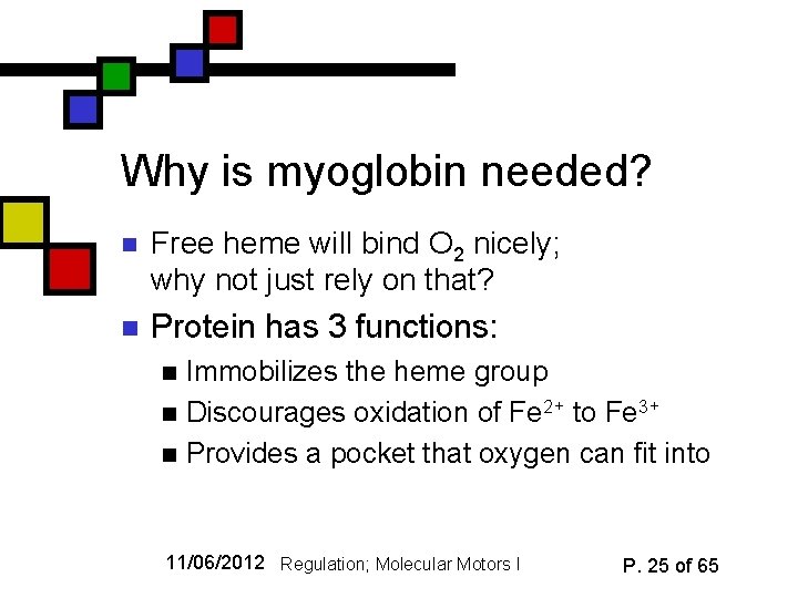 Why is myoglobin needed? n Free heme will bind O 2 nicely; why not