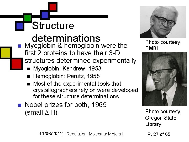 n Structure determinations Myoglobin & hemoglobin were the first 2 proteins to have their