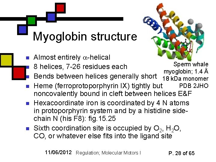 Myoglobin structure n n n Almost entirely -helical Sperm whale 8 helices, 7 -26