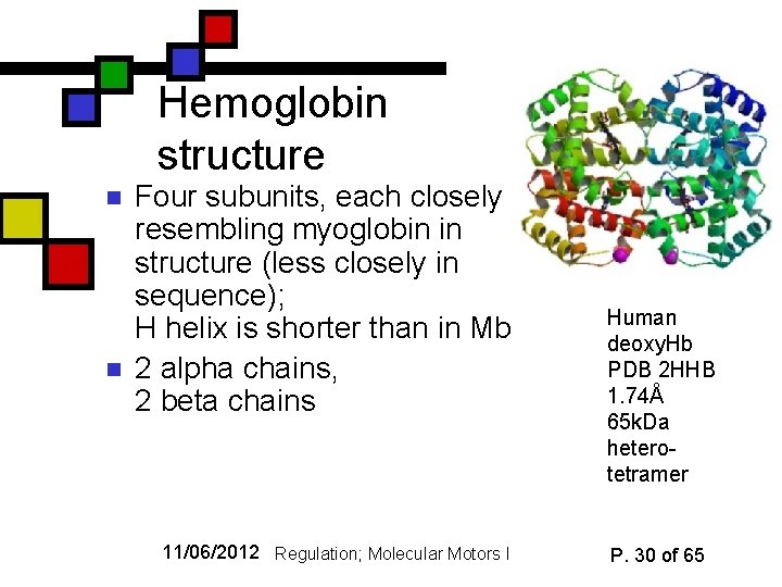 Hemoglobin structure n n Four subunits, each closely resembling myoglobin in structure (less closely