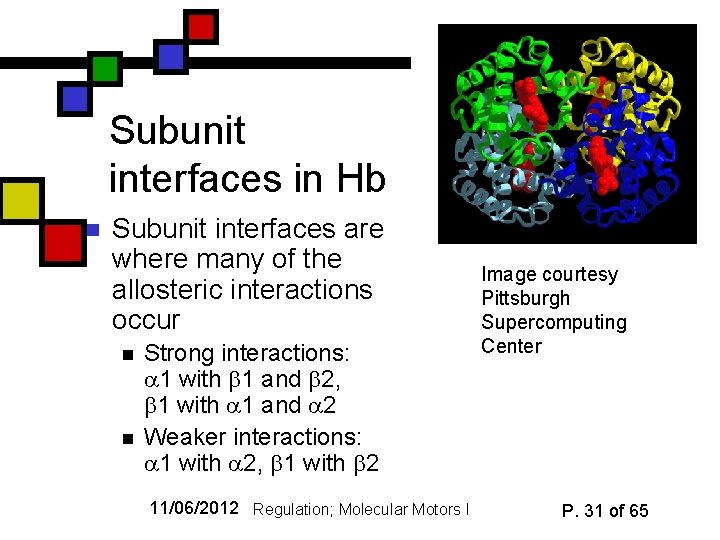 Subunit interfaces in Hb n Subunit interfaces are where many of the allosteric interactions