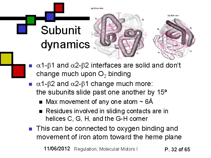 Subunit dynamics n n 1 - 1 and 2 - 2 interfaces are solid