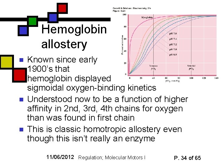Hemoglobin allostery n n n Known since early 1900’s that hemoglobin displayed sigmoidal oxygen-binding