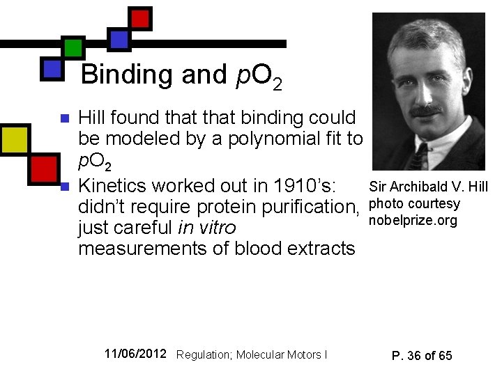 Binding and p. O 2 n n Hill found that binding could be modeled