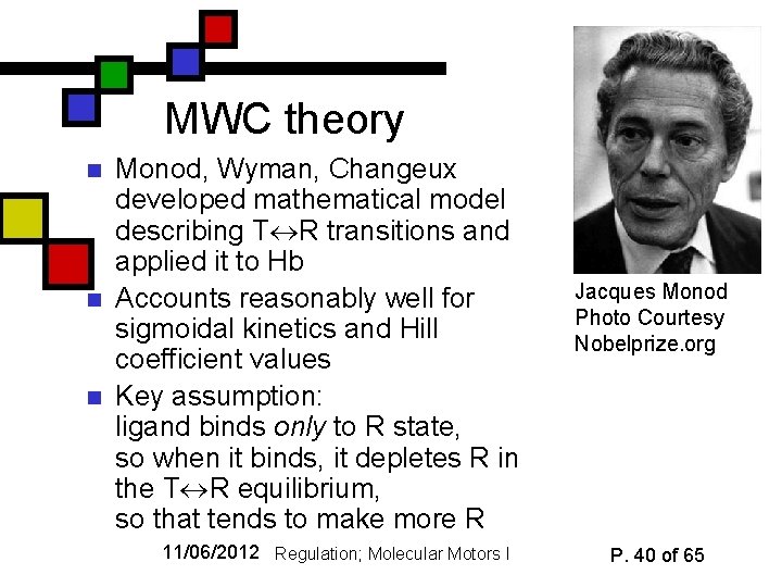 MWC theory n n n Monod, Wyman, Changeux developed mathematical model describing T R
